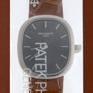 パテックフィリップ - ゴールデンエリプス | PATEK PHILIPPE | 3738/100G-012 | WG グレー文字盤 自動巻き レザー | レストア | 中古